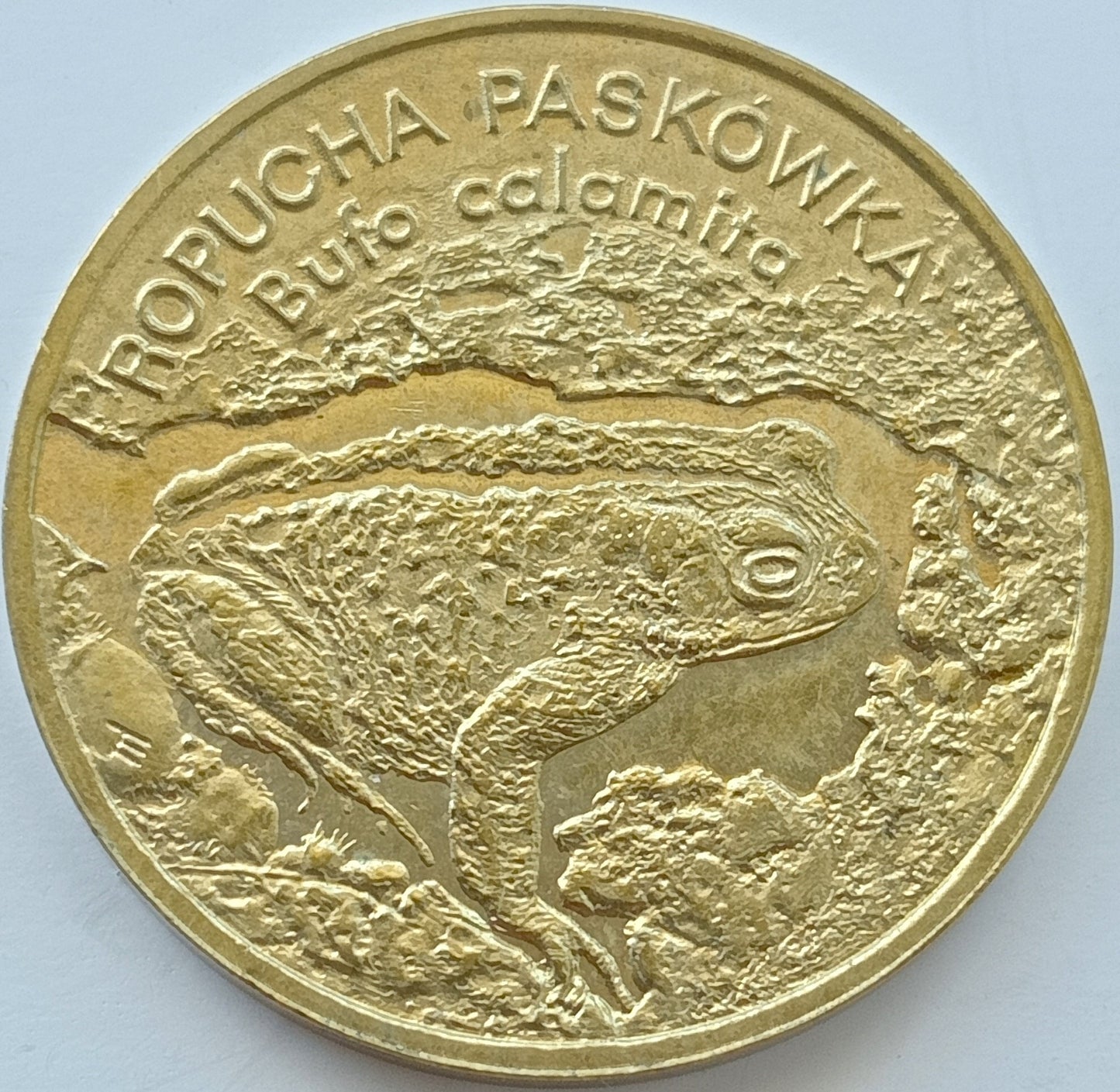 2 zł 1998 - Zwierzęta świata: Ropucha paskówka