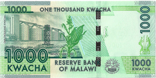 Malawi 100 Kwacha 2013 - UNC