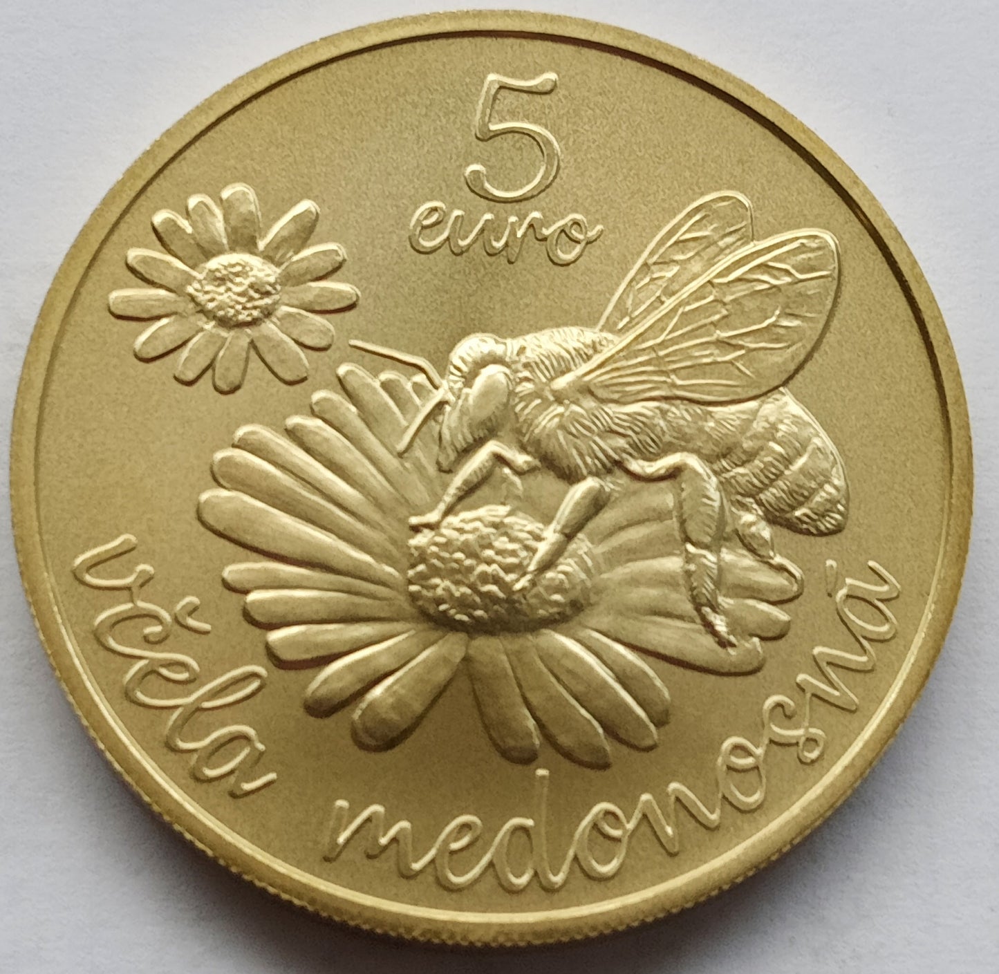 Słowacja 5 euro 2021 Pszczoła miodna