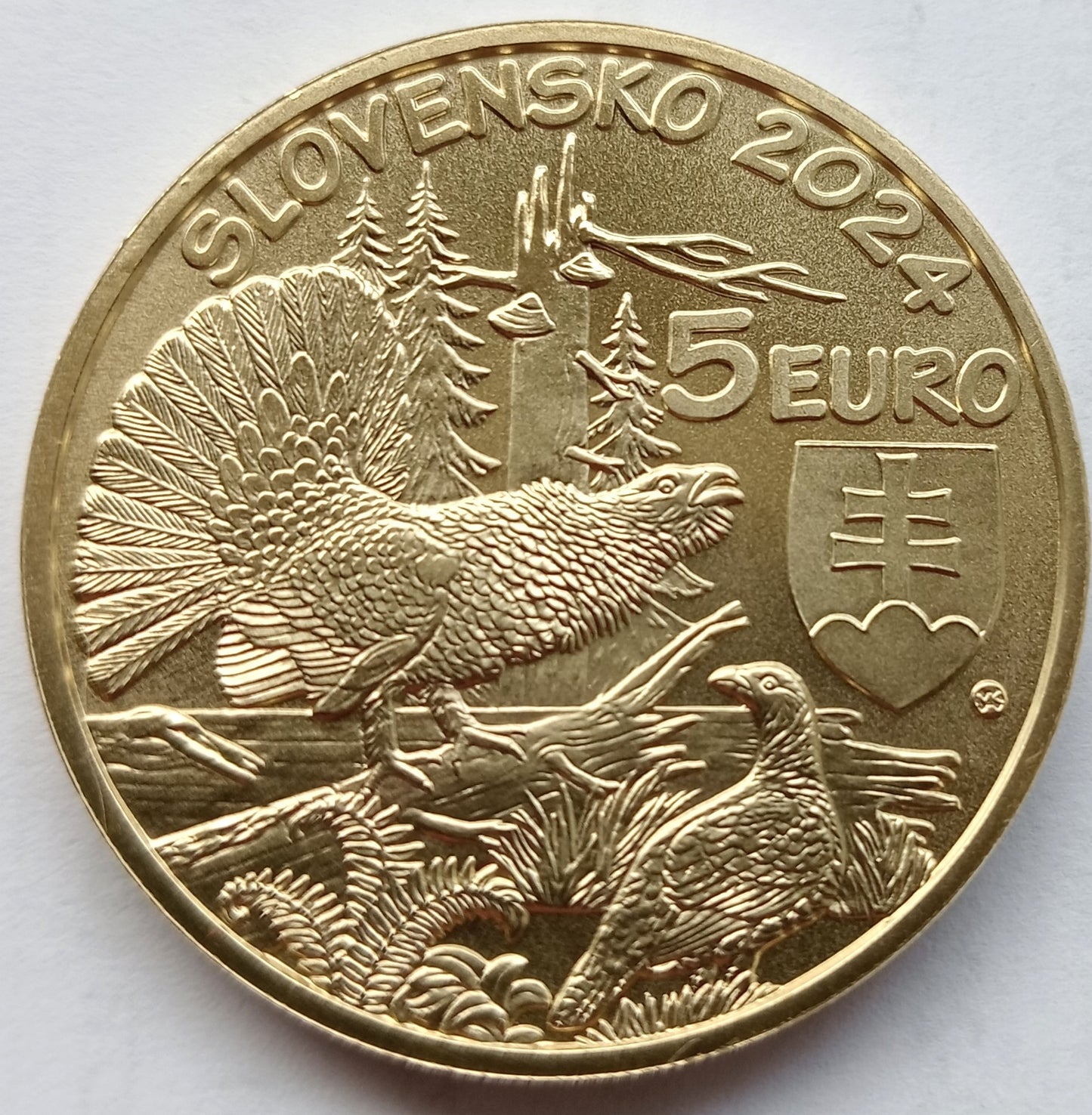 Słowacja 5 euro 2024 Głuszec zwyczajny