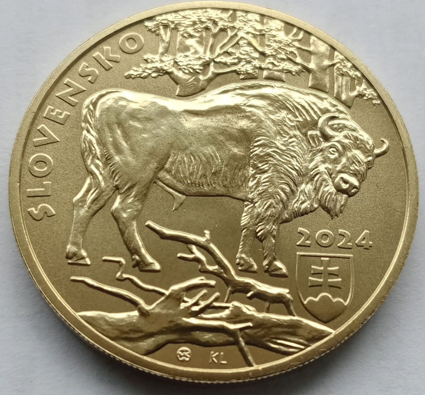 Słowacja 5 euro 2024 Żubr