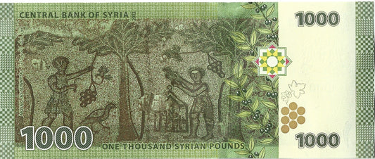 Syria 1000 Funtów 2013 - UNC
