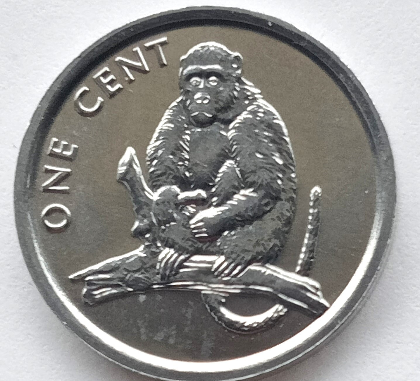 Wyspy Cooka 1 Cent 2003 (małpa)