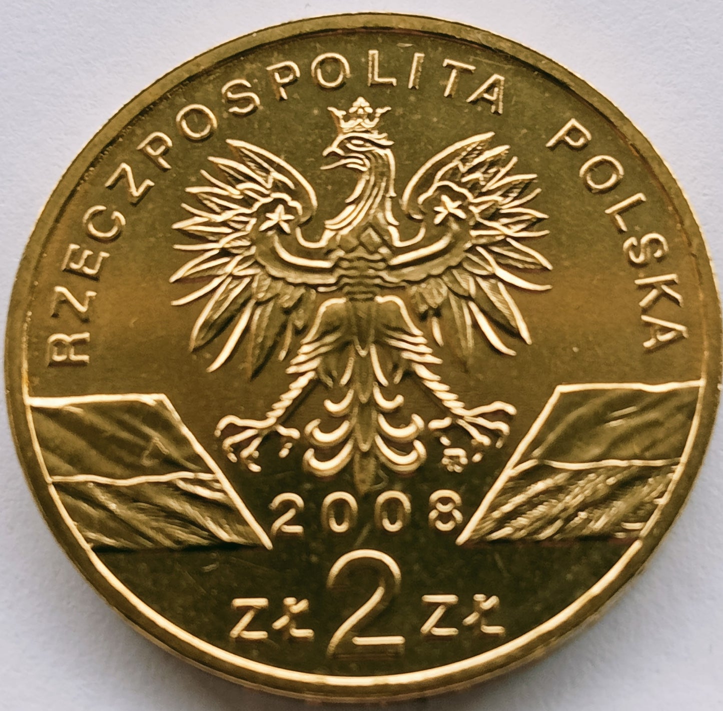 2 zł 2008 - Zwierzęta świata: Sokół wędrowny (łac. Falco peregrinus)