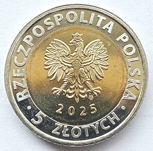 5 zł 2025 Odkryj Polskę - Tykocin
