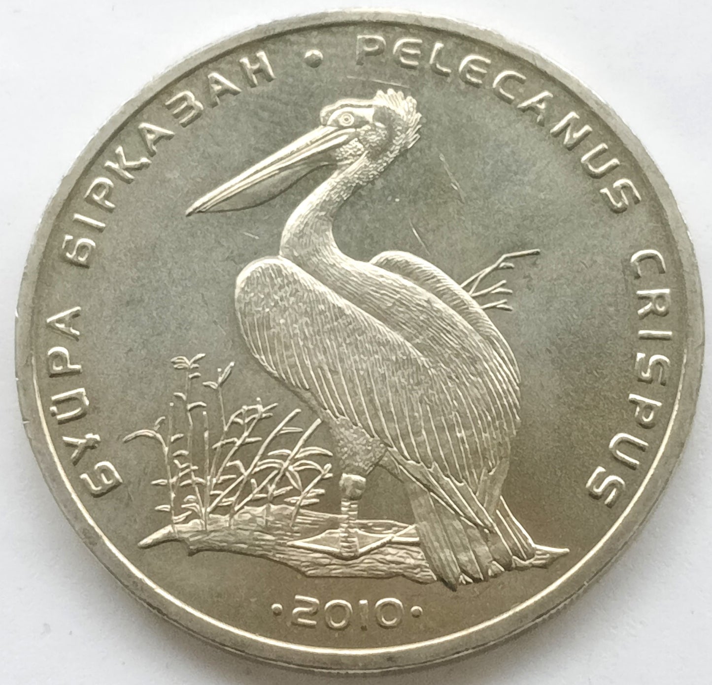 Kazachstan 50 Tenge 2010 Pelikan