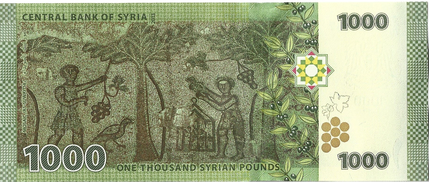 Syria 1000 Funtów 2013 - UNC
