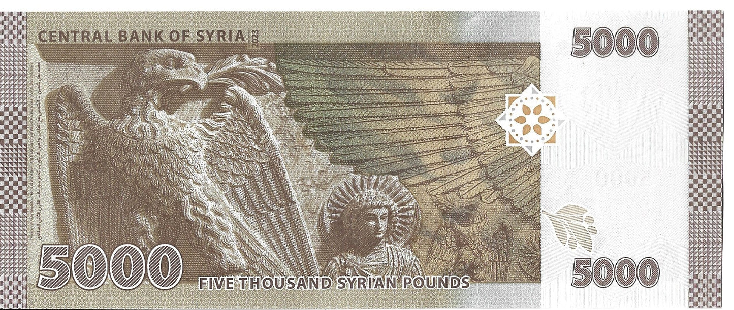 Syria 5 000 Funt 2023 - UNC