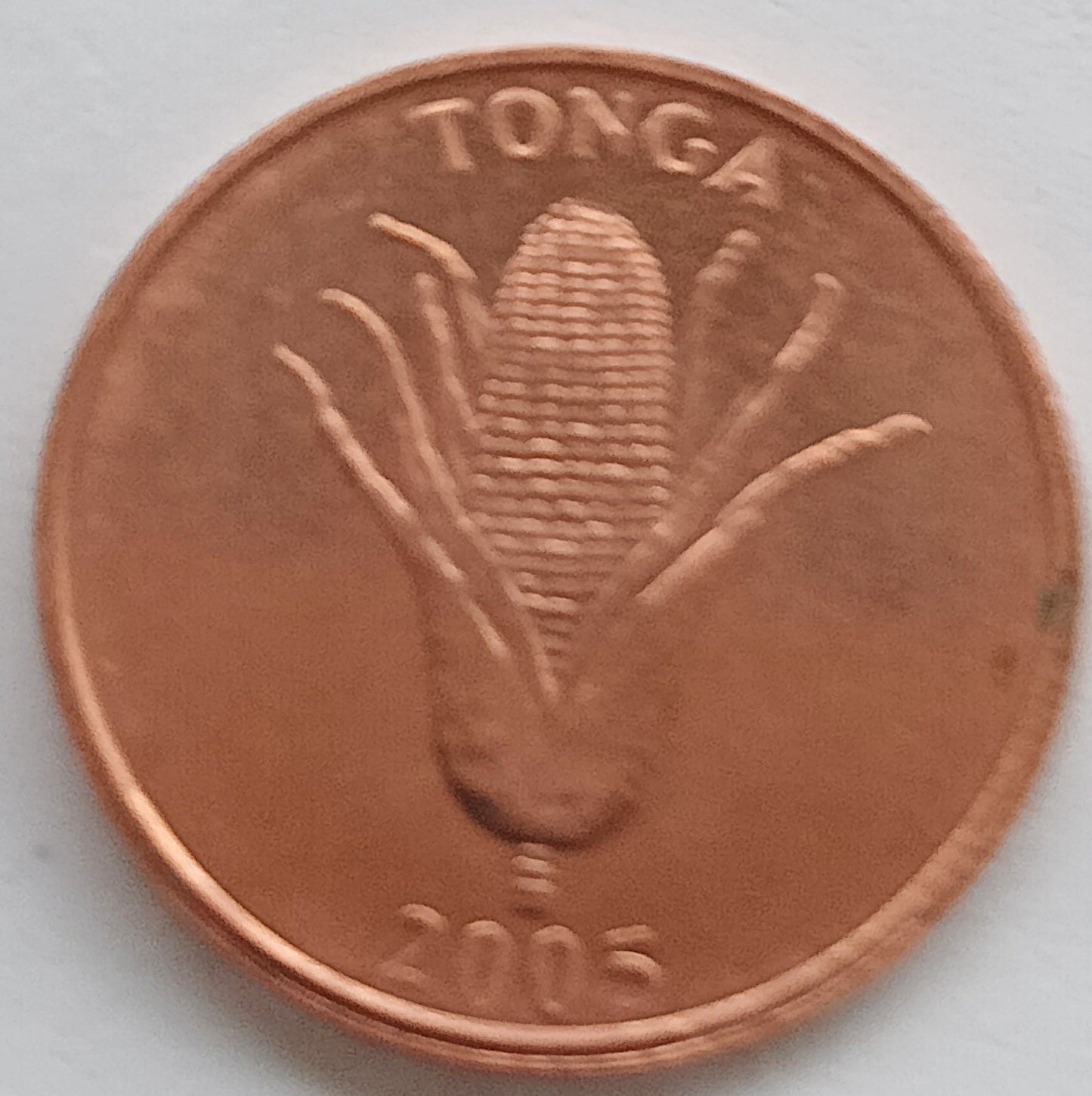 Tonga 1 Seniti 2005
