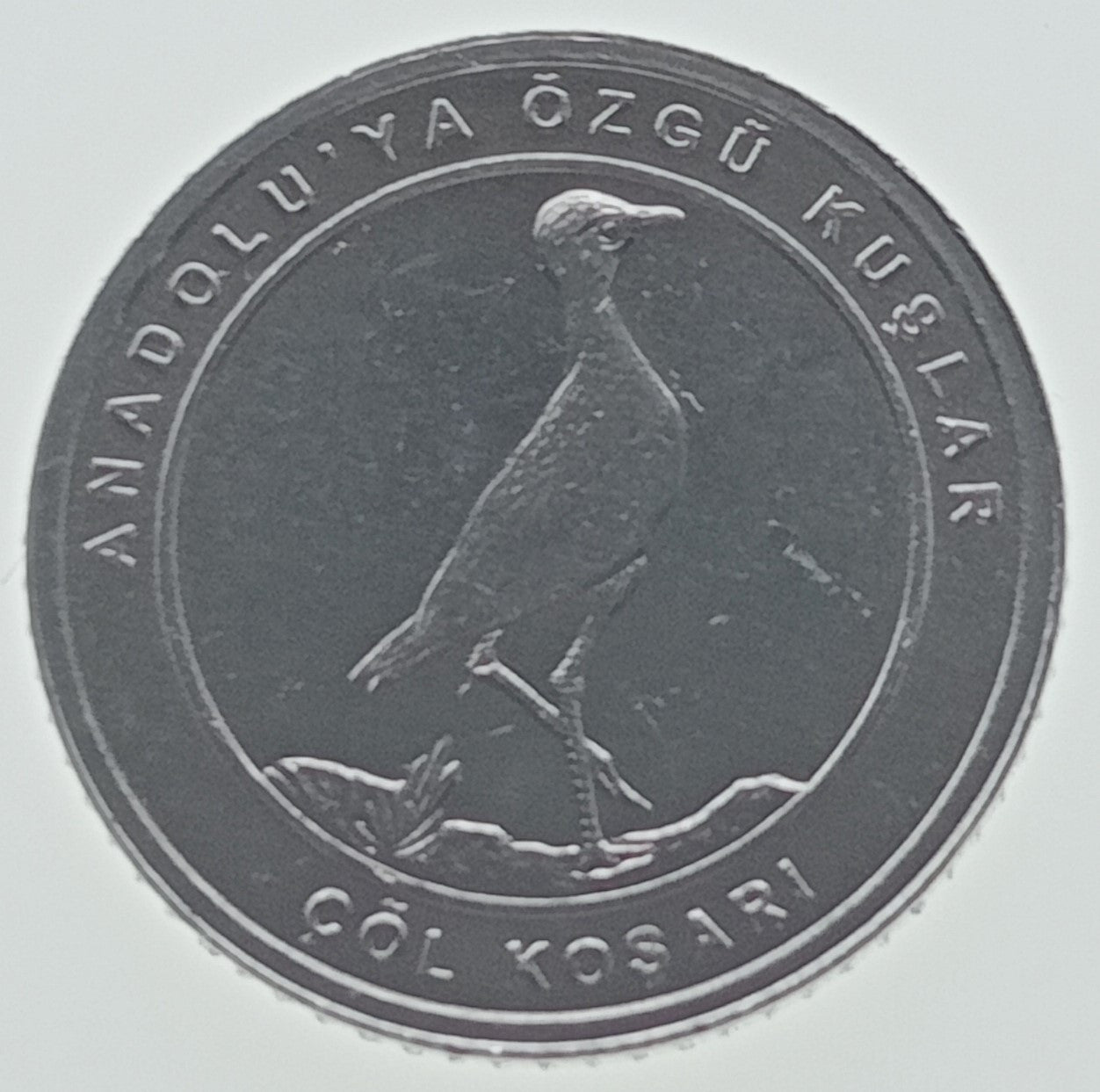 Turcja 1 Kurusz 2020  Courser w kolorze kremowym