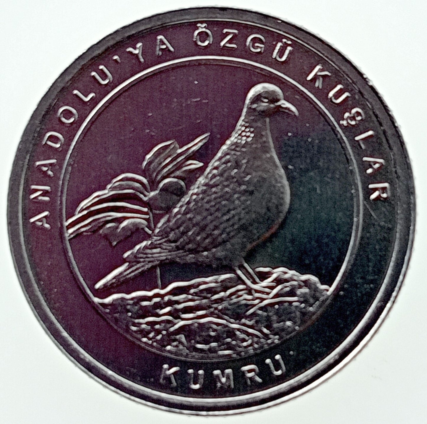 Turcja 1 Kurusz 2020 Kuropatwa Chukar.