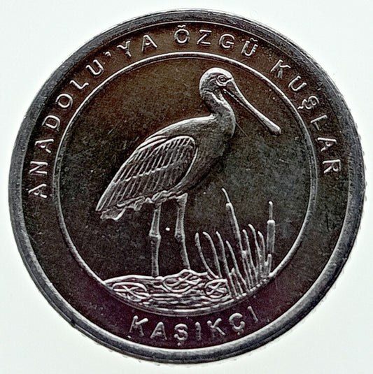 Turcja 1 Kurusz 2020 Spoonbill