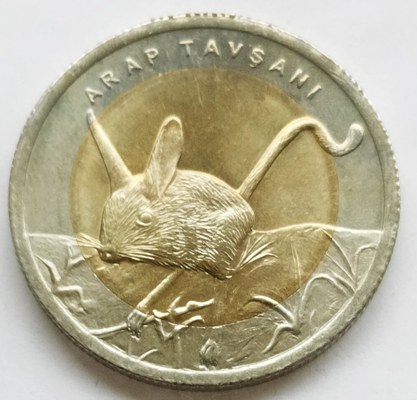 Turcja 1 Lira  2016 Skoczek pięciopalczasty
