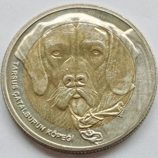 Turcja 1 Lira 2021 Tarsus çatalburun