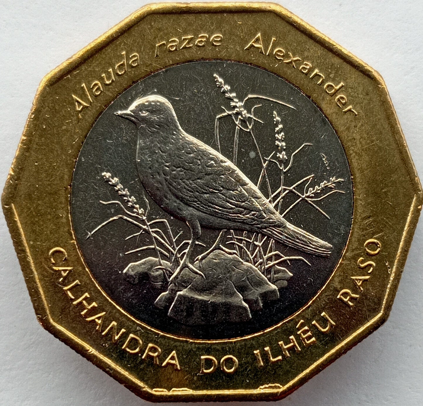 Wyspy Zielonego Przylądka 100 Eskudo 1994 Ptaki - Skowronek wyspowy